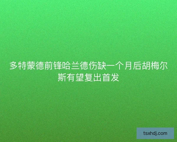 多特蒙德前锋哈兰德伤缺一个月后胡梅尔斯有望复出首发
