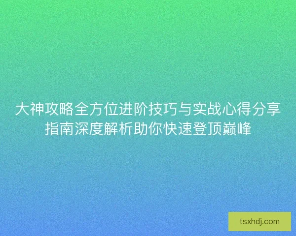 大神攻略全方位进阶技巧与实战心得分享指南深度解析助你快速登顶巅峰
