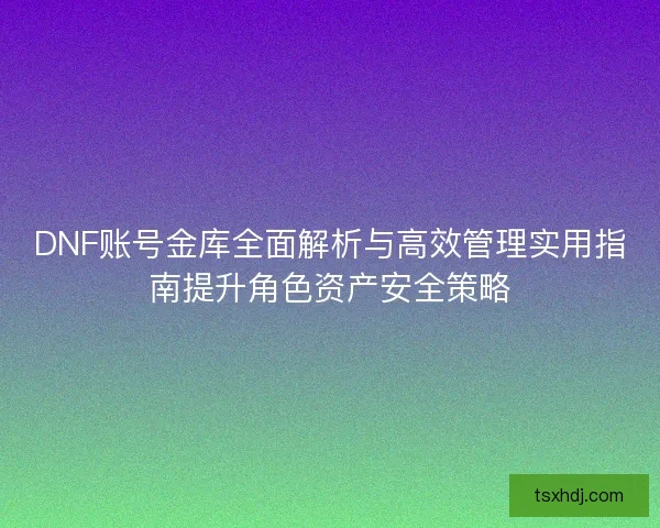 DNF账号金库全面解析与高效管理实用指南提升角色资产安全策略